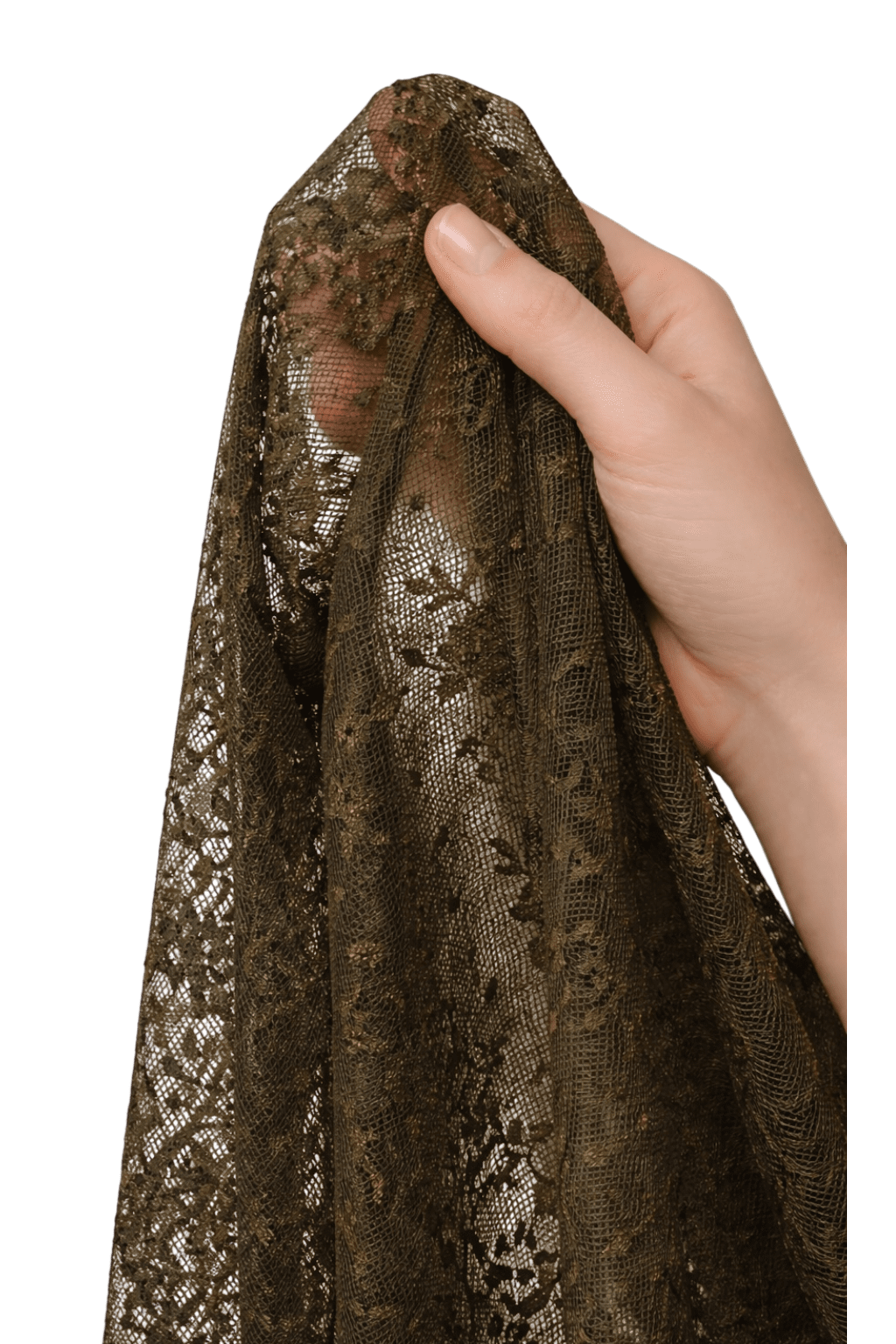 Photoroom_20260212_224354